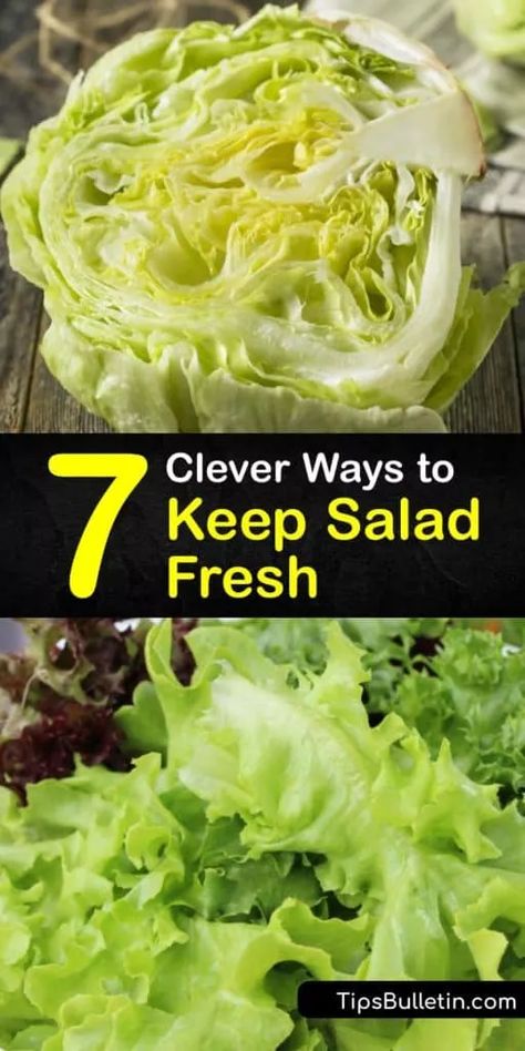 How To Keep Salad Fresh All Week, Keep Salad Fresh All Week, How To Keep Salad Fresh Longer, How To Keep Lettuce Fresh Longer, Freezer Peaches, Salads That Keep Well, Keep Salad Fresh, Tossed Salad Recipes, Storing Lettuce