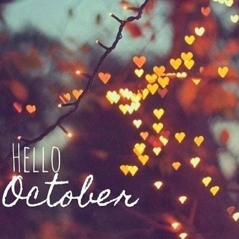 Neuer Monat, Cold Christmas, Hello October, Balayage Blonde, Heart Lights, Fabulous Fall, Blonde Brunette, Happy Fall Y'all, Foto Art