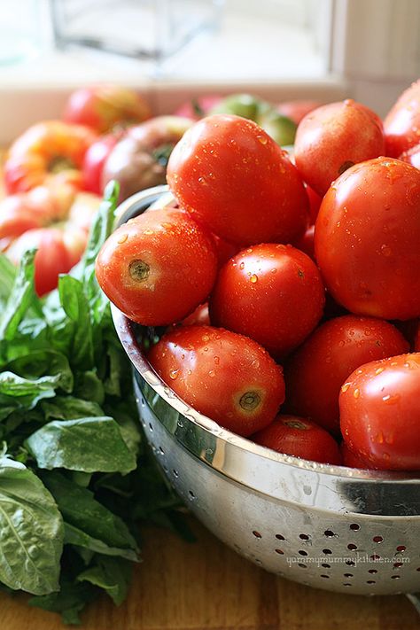 Fresh tomato basil marinara sauce #recipe from {YummyMummyKitchen.com} Basil Marinara Sauce, Marinara Sauce Recipe, Tomato Basil Sauce, Fresh Tomato Sauce, Veggie Patch, Yummy Mummy, Homemade Marinara, Tomato Pasta, Garden Recipes