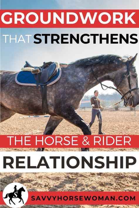 Getting into a training groove with your horse takes time and patience, but by using less resistance and more reward, you can make training time a more positive experience for both you and your horse.  Get our tips on resistance-free horse training here! #horsetrainingtips #equinepartnership #libertyhorsetraining #equinecommunication #horselove #savvyhorsewoman Draft Horse Training, Horse Conditioning Schedule, Stretches For Horses, Long Lining Horse Training, Horse Fitness Plan, Horse Topline Exercise, Caring For Horses, Training A Horse, Groundwork For Horses