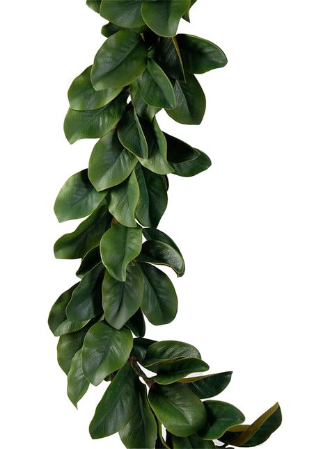 PRICES MAY VARY. MULTIPLE USECASES - Our magnolia leaf garland can add a touch of nature to your traditional décor at your holiday event. The colors are perfect for autumn-themed parties or Thanksgiving festivities. We also love incorporating magnolia garlands into Christmas decorations as an alternative to pine or tinsel. VERSATILE FLORAL GARLAND - It’s perfect for all season floral arrangements and is the perfect natural accent for your wedding décor. SUPERB QUALITY - The garland is of excelle Store Display Window, Magnolia Christmas Decor, Wedding Mantle, Magnolia Leaf Garland, Artificial Magnolia, Magnolia Decor, Magnolia Garland, Red Magnolia, Magnolia Leaf