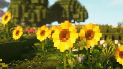 Yellow Flowers Discord Banner, Yellow Gifs Aesthetic, Notion Yellow Aesthetic, Minecraft Gifs Aesthetic, Minecraft Scenery Gif, Yellow Minecraft Aesthetic, Minecraft Banner Aesthetic, Grass Banner Discord, Yellow Banner Minecraft