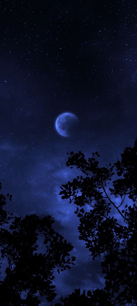 736x1593 Wallpaper Hd, Blue Colour Wallpaper Iphone, Deep Blue Wallpaper Aesthetic, Blue Moonlight Aesthetic, Blue Witchy Aesthetic, Crescent Moon Wallpaper Aesthetic, Dark Blue Moon Wallpaper, Blue Night Sky Aesthetic, Neon Moon Wallpaper