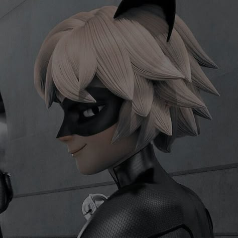 Lady Noir Aesthetic, Cat Noir Aesthetic, Adrian Miraculous, Cat Noir Adrien, Miraculous Ladybug Chat Noir, Ladybug And Cat Noir, Miraculous Ladybug Oc, Miraculous Wallpaper, Miraculous Ladybug Wallpaper