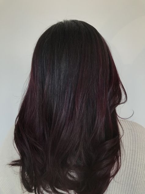 Purple hair with red undertone 💜 Red Undertone Brunette, Black Hair With Plum Balayage, Black Hair With Dark Red Balayage, Dark Brunette Hair With Burgundy, Dark Red Hair With Purple Undertones, Black Hair With Tint Of Red, Black Hair With A Hint Of Red, Black Red Undertone Hair, Dark Hair With Burgundy Undertones