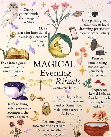 Medicine Plants, Power Of Darkness, Apothecary Herbs, Herb Drink, Lavender Moon, Herbal Tonic, Evening Rituals, Witch Rituals, Nourish Your Soul