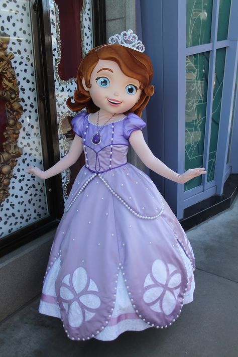 Sofia The First Halloween Costume Teens, Sofia The First Closet, Sofia The First Birthday Dress, Sofia The First Dress Pattern, Sofia The First Dress, Sofia Costume, Chef Girl, Nursing Scrubs Pattern, Disneyland Face Characters