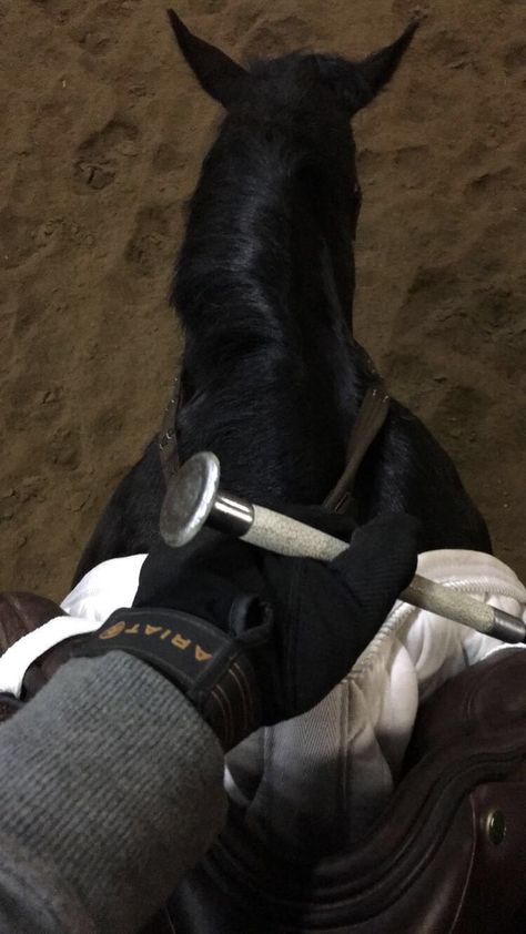 Horse Riding Dark Aesthetic, Dark Academia Equestrian, Equisterian Aesthetic, Dark Equestrian Aesthetic, Riding A Horse Aesthetic, Equestrian Instagram Story, Horse Aesthetic Dark, Polo Sport Aesthetic, Dark Horse Aesthetic