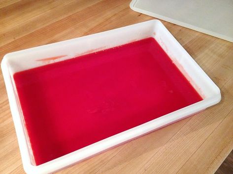 Finger Jello, Jell O, Different Recipes, I Tried