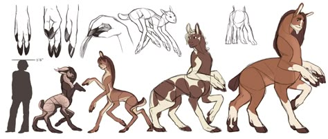 reality check - Could six-limbed creatures evolve from griffin or dragon to centaur? - Worldbuilding Stack Exchange Centaur Art, Mythical Creature Art, Alien Ideas, Fantasy Things, Final Fantasy Xii, Humanoid Creatures, People Drawing, Fantasy Creature, Fantasy Animals