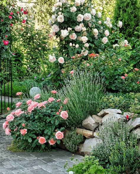 Roses In The Garden Landscapes, Small Backyard Rose Garden, Parterre Rose Garden, Mediterranean Rose Garden, Formal Rose Garden, Rose Garden Ideas, Formal Rose Garden Design, Rose Garden Companion Plants, English Garden Design