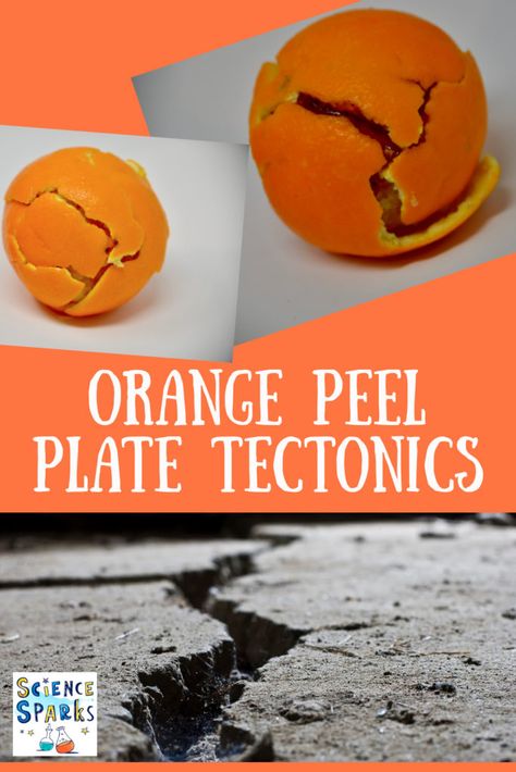 plate tectonics with an orange. Fun demonstration of plate tectonics using an orange Geology For Kids, Tectonic Plates Activities, Geology Activities, Earth Science Experiments, Earth Systems, Earth Science Activities, Earth Science Lessons, Science Experiments For Kids, Experiments For Kids