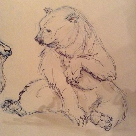 Quick sketch of Grizzly bear by Ashley Thomson Brown Bear Sketch, Bear Growling Drawing, Grizzly Bear Drawing Sketches, Bear Sketch Cute, Bear Sketch Drawing, Bear Art Reference, Bear Drawing Reference, Grizzly Bear Sketch, Bear Drawing Sketches