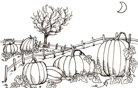 Pumpkin Patch How To Draw A Pumpkin Patch, Pumpkin Farm Drawing, Pumpkin Field Drawing, Pumpkin Patch Sketch, Pumpkin Patch Painting Easy, Corn Maze Drawing, Pumpkin Patch Doodle, Pumpkin Patch Drawing Easy, Pumpkin Drawings Easy