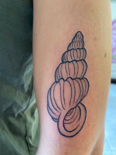 Wentletrap Shell, Seashell Tattoo, Shell Tattoo, Seashell Tattoos, Shell Tattoos, Limpet Shell, Graffiti Style Art, Graffiti Styles, Sky Aesthetic