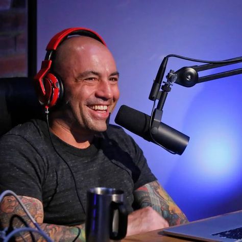 Joe Rogan Joe Rogan Experience, Photo Bank, Amy Schumer, Joe Rogan, The Joe, Neil Young, New York Post, Public Health, Barack Obama