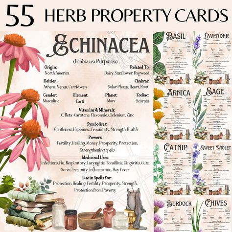 Print Your Own - Vintage Witch Style Herb Cards  - A beautiful vintage watercolour style paper with herb, pentagram, watercolour witch potion and spell book scene. 55 watercolour style herbs and useful info includes - origin, plant relations, gender, vitamins and minerals, symbolism, powers, medicinal uses, spells and associated -  deities, chakras, elements, planets and zodiac. INSTANT DIGITAL DOWNLOAD ONLY - NO PHYSICAL ITEM WILL BE SHIPPED YOUR PURCHASE INCLUDES: - You will download a PDF con Herbs For Women Libido, Ancient Smokable Herbs, Herb Shop Ideas, List Of Herbs For Witchcraft, Herb Pharmacy, Chakras Elements, Herb Cards, Watercolour Witch, Apothecary Journal