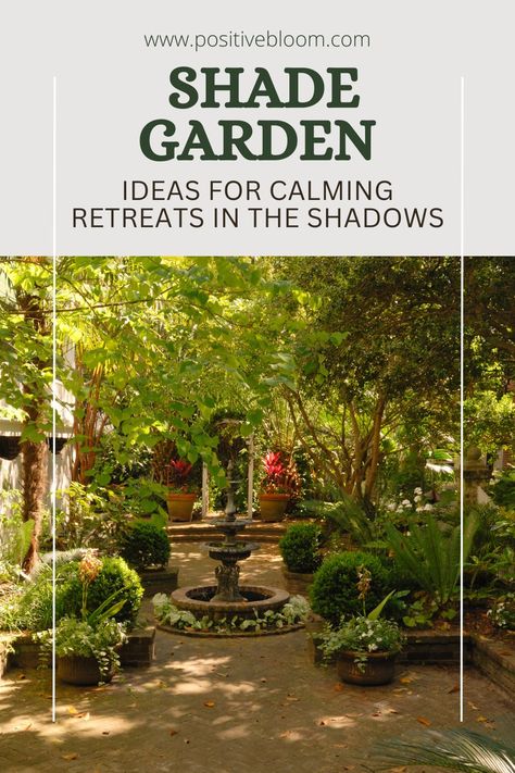 Check out these brilliant woodland shade garden ideas you can use to transform your landscape and discover some plants that grow best in those settings. Landscape Ideas For Shaded Areas, Woodland Landscaping Ideas, Shade Garden Ideas, Shade Tolerant Grass, Shaded Garden, Shade Landscaping, Sensory Garden, Gravel Garden, Shade Trees