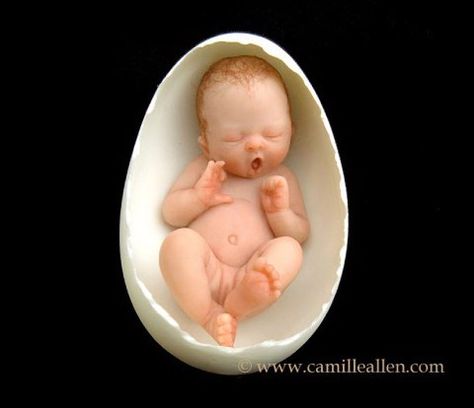 Camille Allen - Aphira Fairy Pots, Cupie Dolls, Egg Baby, Baby Mold, Clay Baby, Egg Shell, Baby Fairy, Fondant Figures, Polymer Clay Dolls