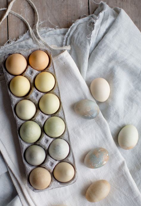 Natural Tea Dyed Easter Eggs Dyeing Eggs, Dyed Easter Eggs, Dyed Eggs, Blueberry Tea, Natural Tea, Egg Dye, Easter Egg Dye, Easter Eggs Diy, Easter Inspiration