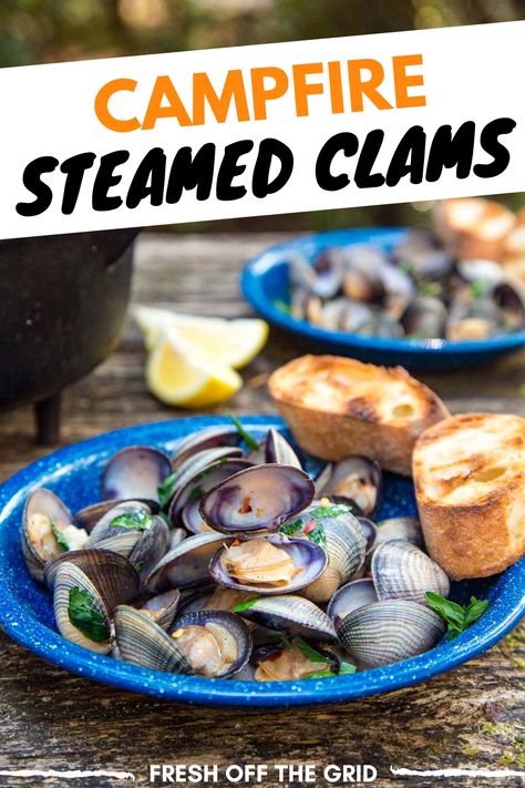 These campfire Steamed Clams with garlic white wine sauce is a fancy feeling camping meal but is super simple to make! Camping food | Dutch oven recipe Dutch Oven Recipes For Camping, Coastal Camping, Camping Lunch Ideas, Steamed Clams Recipe, What To Pack For Lunch, Garlic White Wine Sauce, Dutch Oven Recipe, Recipes For Camping, Camping Lunch