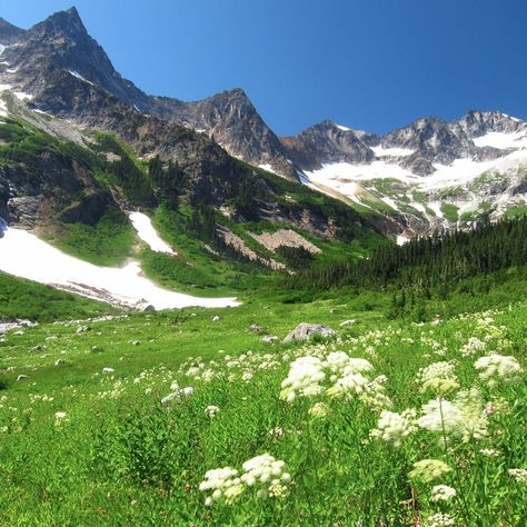 ‘That whoa moment’: What’s so special about North Cascades National Park — USA TODAY North Cascades National Park With Kids, Cascade Mountains Washington, North Cascades Scenic Highway, Blue Lake North Cascades, Cascade National Park, North Cascades National Park, North Cascades, National Parks Usa, Usa Today