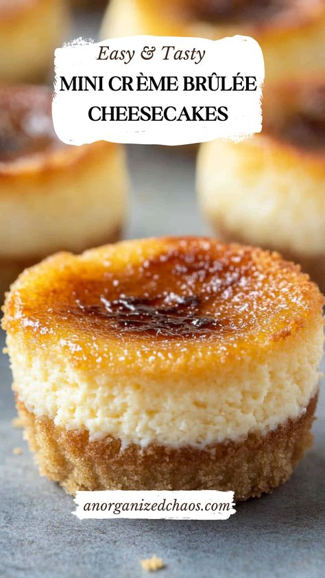 Creme Brûlée Cheesecake Cupcakes Different Recipes Ideas, Mini Creme Brulee Cheesecake, Cream Brulee Cheesecake, Mini Creme Brulee, Creme Brulee Tart, Handheld Desserts, Creme Brulee Cheesecake, Cream Brulee, Cheesecake Tarts