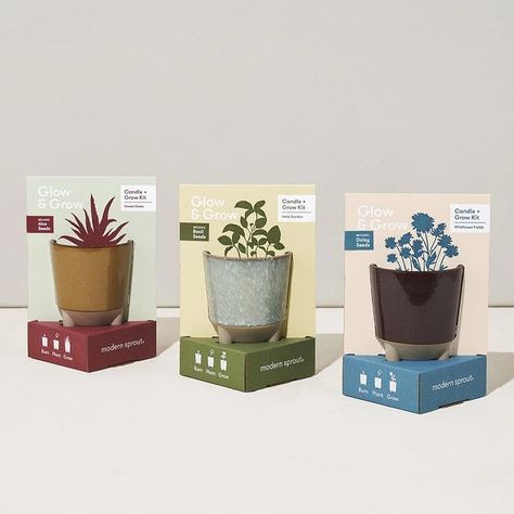 Kuselsbigstore (@kuselsbigstore) • Instagram photos and videos Glow And Grow, Basil Herb, Grow Wildflowers, Eco Packaging, Candle Glow, Grow Kit, Desert Oasis, Garden Kits, Ceramic Candle