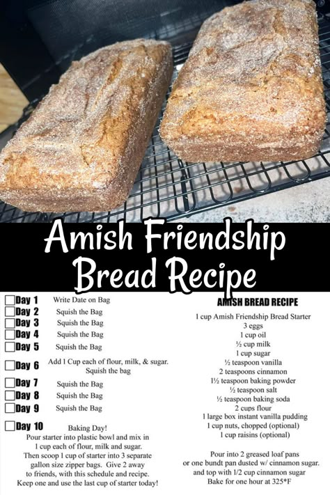 Amish Friendship Bread Recipes, Amish Bread Starter, Amish Bread Recipes, Amish Friendship Bread Starter Recipes, Friendship Bread Recipe, Friendship Bread Starter, Amish Bread, Amish Friendship Bread, Friendship Bread