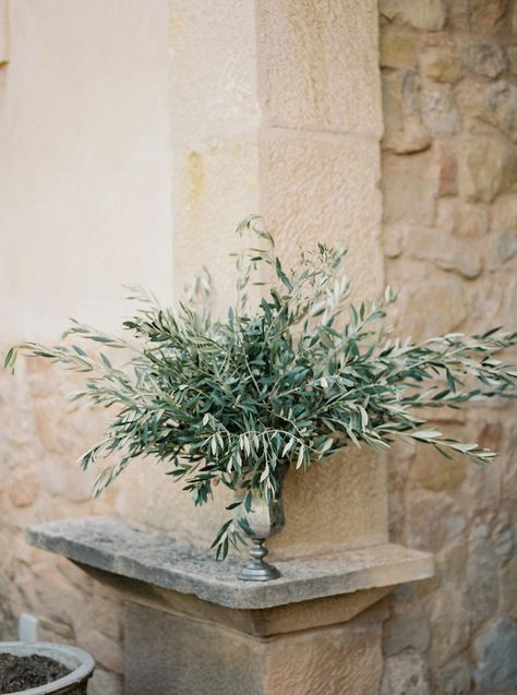 Olive Tree Wedding, Olive Branch Wedding, Olive Wedding, Rustic Photography, Deco Champetre, Mediterranean Wedding, Church Wedding Decorations, 2025 Wedding, Inspiration Photography