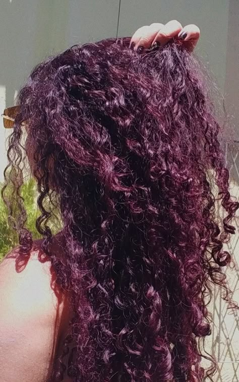 Curly Plum Hair, Plum Curly Hair, Violet Curly Hair, Dark Purple Curly Hair, Plum Colored Hair, Cherry Purple Hair, Purple Hair Curly, Berry Hair Color, Birthday Hairstyle Ideas