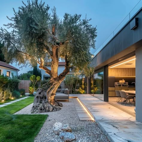 Garden Olive Tree, Tiny Front Yard, Garden Dining Area, Garden Provence, Mediterranean Garden Ideas, Spain Villa, Classic Garden Design, Mediterranean Beach House, Dream Family Home