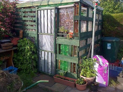 Cool Pallet and Plastic Bottle Greenhouse  #garden #palletdiyideas #palletshed #recyclingwoodpallets I built this greenhouse using found pallets and saved plastic drink bottles. Then I wrote a book - with plenty of photographs - about it to show you h... Pallet Greenhouse, Bottle Greenhouse, Plastic Bottle Greenhouse, Underground Greenhouse, Pallet Kids, Diy Planters Outdoor, Pallet Barn, Bottle Projects, Pallet Shed