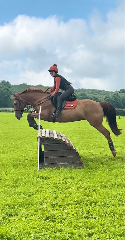 Jumping Horses, Grey Horses, Horse Showing, Show Jumping Horses, Horses Equestrian, Equestrian Aesthetic, Eventing Horses, Grey Horse, Horse Jumping