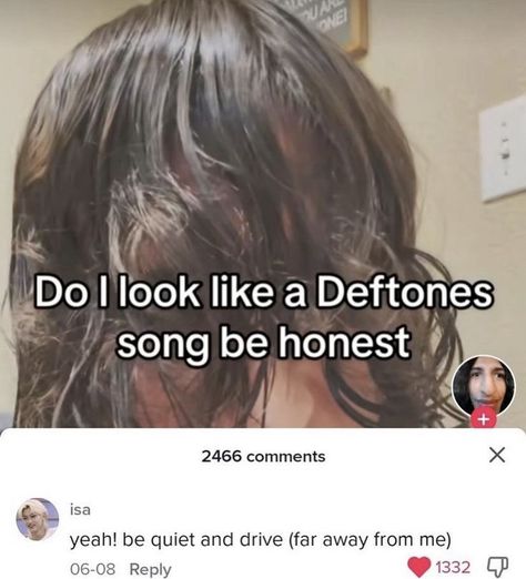 Deftones Meme, Deftones Songs, Signs Of Intelligence, Band Memes, Silly Pictures, Radiohead, Music Memes, Really Funny Pictures