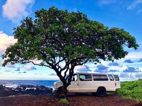 Where to camp in Maui? 7 Epic Campgrounds - Vanlife Maui Hawaii Camping, Van Life Hawaii, Maui Camping, Cold Water Shower, Best Hikes In Maui Hawaii, Best Maui Excursions, Hana Highway, Maui Itinerary, Haleakala National Park