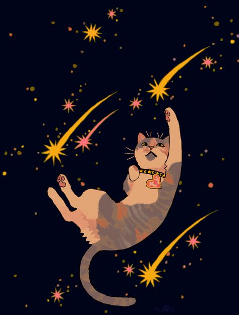 millionfish A Cat, Internet, Pet, Tumblr, Stars