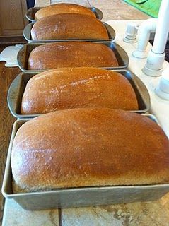 Easy Bread Recipe, Bread Bun, Easy Bread Recipes, Easy Bread, Breakfast Breads, Bread Recipes Homemade, Whole Wheat Flour, Bread Dough, Whole Wheat