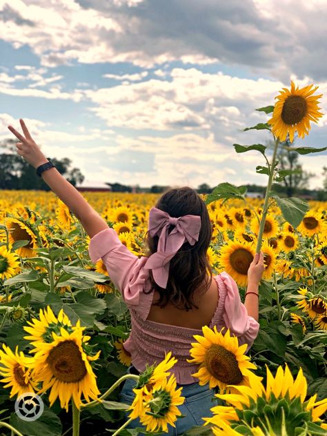 Pink bow and shirt with short jeans in a sunflower field Photoshoot In Sunflower Field, Sunflower Field Photography, Sunflower Field Pictures, Field Pictures, Sunflower Farm, Field Photography, Strawberry Farm, 30th Bday, Sunflower Field