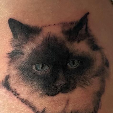 Vinnie on Instagram: "My mum had me tattooed on her! 🥰 
#portrait #tattooideas #cattattoo #catsofinstagram #ragdollsofinstagram #ragdolllovers #ragdollcat #ragdoll #ragdolltattoo #sealpointragdoll #sealpoint #tattoodesign #tattoolovers #cattattoodesign" Cat Tattoos, Cat Tattoo Designs, Ragdoll Cat, Cat Tattoo, Rag Doll, I Tattoo, Cats Of Instagram, Tattoo Designs, Tattoos