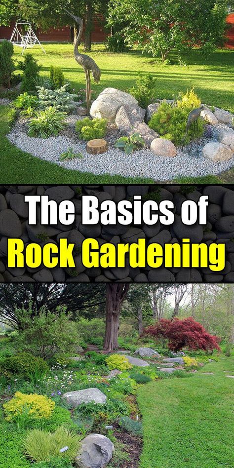 The Basics of Rock Gardening - Golly Gee Gardening Funny Vine, Garden Rocks, Rock Garden Plants, Building A Raised Garden, Rock Garden Design, Rock Gardens, Rock Garden Landscaping, Back Gardens, Front Yard Landscaping Design