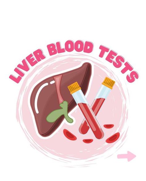 Liver Inflammation, Bilirubin Levels, Liver Function Test, Liver Function, Bile Duct, Red Blood, Red Blood Cells, Nursing Education, The Liver