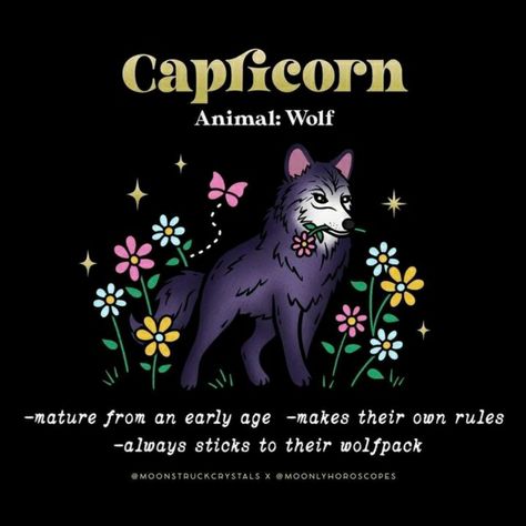 Kara Pavlik @moonstruckcrystals Capricorn Spirit Animal, Moonstruck Crystals, Virgo Love Compatibility, Capricorn Earth Sign, Crystal Affirmations, Capricorn Daily Horoscope, Moon Gemini, Capricorn Personality, Sun Aquarius