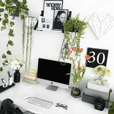 Office Plants and Plant Decorating Ideas to Improve Your Mood at Work! - My Tasteful Space Diy Cubicle Decor, Work Cubicle Decor, White Office Decor, Office Space Decor, Work Desk Decor, Black And White Office, Work Cubicle, Cubicle Decor Office, Desk Styling