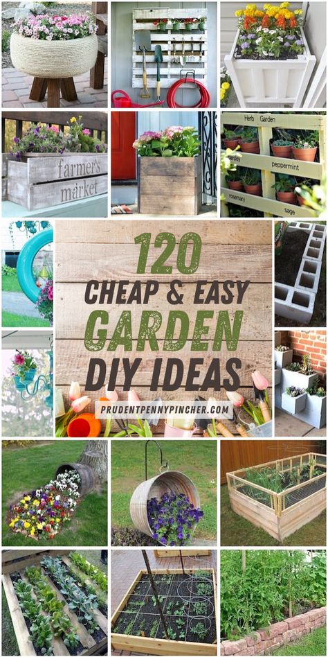 Spruce up your garden with these cheap and easy DIY garden ideas. From DIY planters to container gardening ideas, there are plenty of garden projects on a budget to choose from. Easy Diy Garden Ideas, Garden Ideas Diy Cheap, Diy Garden Ideas, Herb Garden Pots, Cheap Garden, Garden Diy Ideas, Backyard Garden Diy, Garden Ideas Cheap, Diy Raised Garden