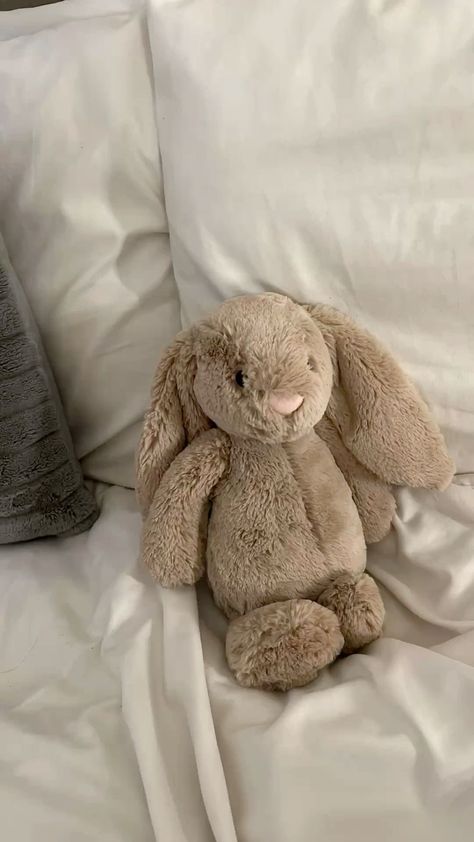 Rabbit Plushie Aesthetic, Jelly Cat Bunny Aesthetic, Jelly Cat Rabbit, Jelly Cats Bunny, Jellycats Aesthetic, Jellycat Rabbit, Jelly Cat Bunny, Bunny Jellycat, Bashful Bunny