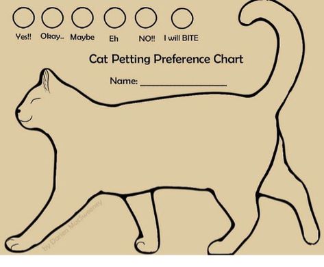 Melissa's Mochas, Mysteries and Meows: Mudpie's Cat Petting Preference Chart Cat Petting Chart, Cat Petting, Cat World, Therapy Cat, Soft Paws, Paw Pads, Cat Shelter, About Cats, Cat Care