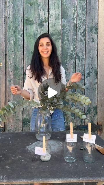 Flowrette.com on Instagram: "Je vous montre comment stabiliser des branches d’eucalyptus avec seulement 3 ingrédients 🌿" Drying Eucalyptus Diy, Eucalyptus Bouquet Vase, How To Dry Eucalyptus Branches, Eucalyptus Arrangement Vase, Eucalyptus Bouquet, Feuille Eucalyptus, Dried Eucalyptus, Eucalyptus Branches, Eucalyptus Leaves