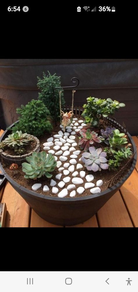 Fairy Garden Pots, Succulent Garden Design, نباتات منزلية, Fairy Garden Designs, Fairy Garden Crafts, Succulent Garden Diy, Dish Garden, Succulent Gardening, Succulent Terrarium