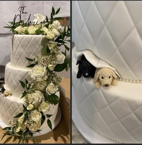 Dog Peeking Out Of Wedding Cake, Dog Incorporated In Wedding Cake, Wedding Cake Dog Peeking, Dogs Wedding Cake, Dog Themed Wedding Cake, Wedding Cake With Dog Peeking Out, Wedding Cake With Dog Eating, Wedding Cakes With Dogs, Wedding Cake With Dog